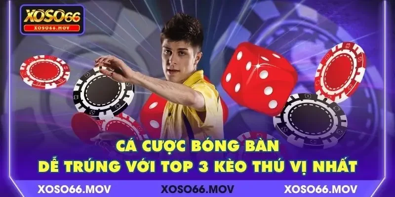 Cá Cược Bóng Bàn Dễ Trúng Với Top 3 Kèo Thú Vị Nhất