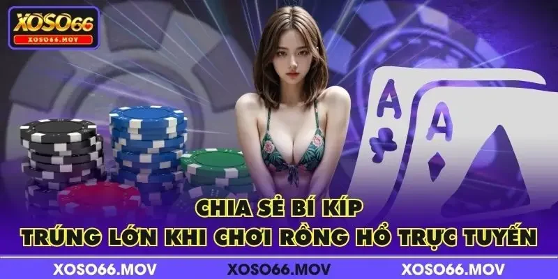 Chia sẻ bí kíp trúng lớn khi chơi Rồng Hổ trực tuyến