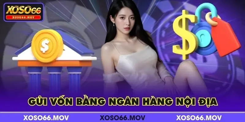 Gửi vốn bằng ngân hàng nội địa