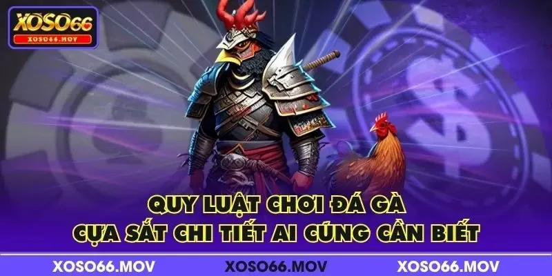 Quy luật chơi đá gà cựa sắt chi tiết ai cũng cần biết