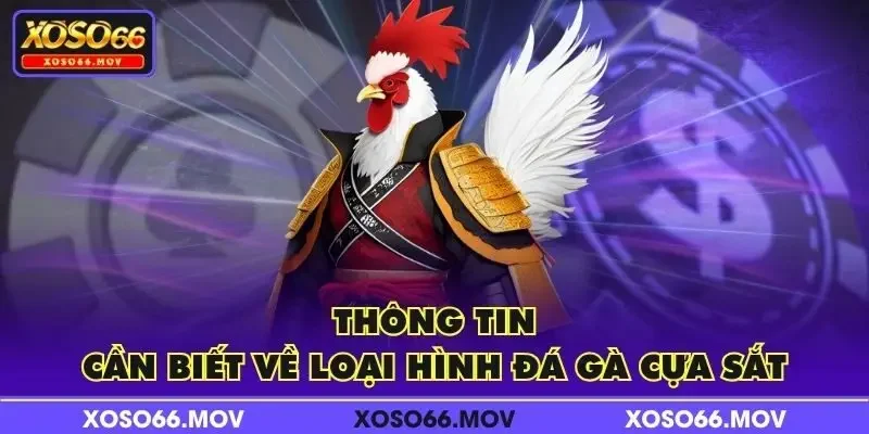 Thông tin cần biết về loại hình đá gà cựa sắt