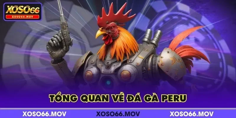 Tổng quan về đá gà Peru
